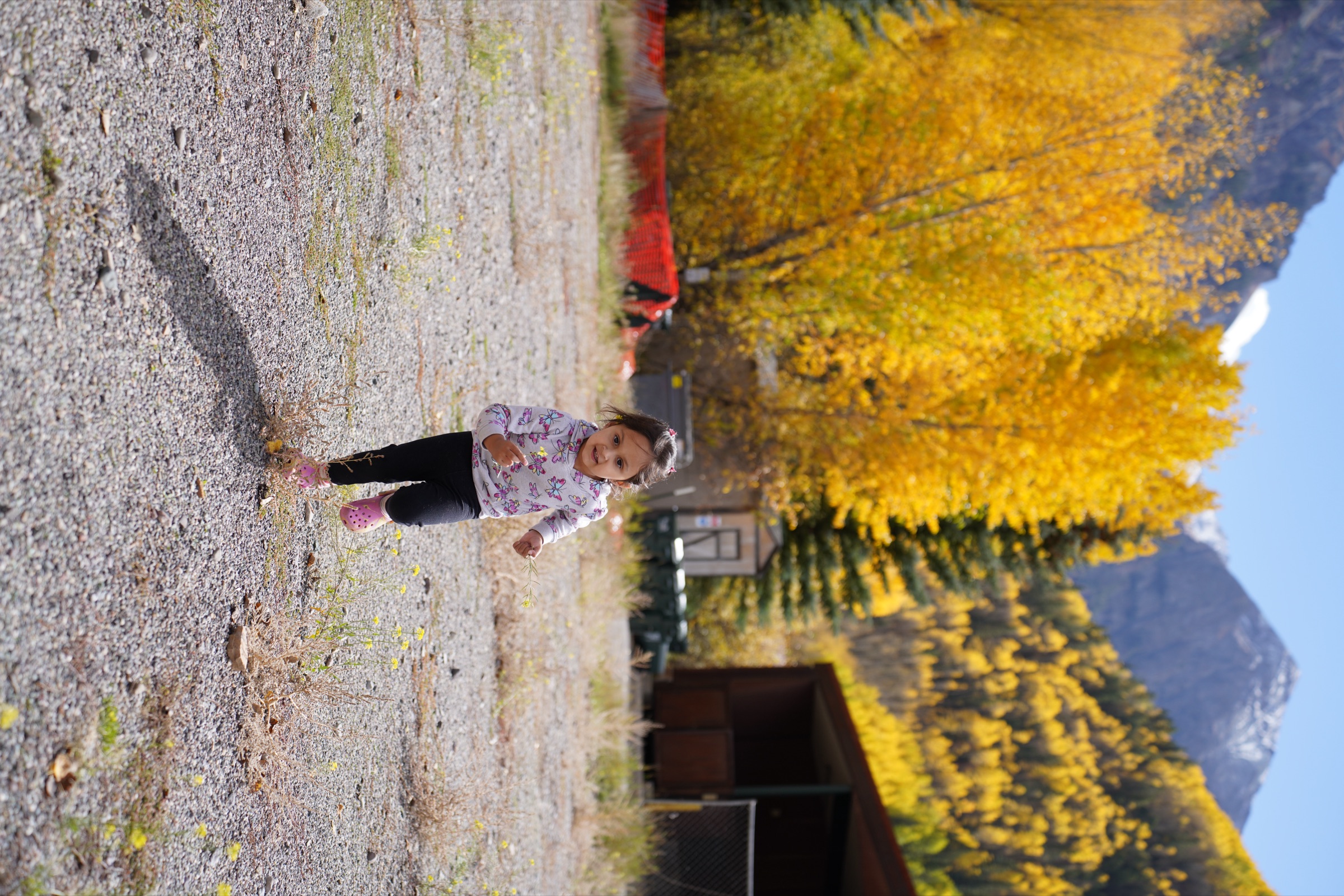 Girl running full-tilt toward the camera, aspens glowing behind